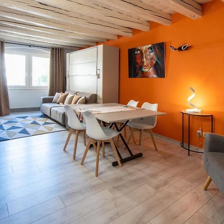 Fitz Roy Annecy Rent Lodge Kültér fotó